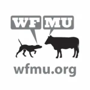 WMFU FM 91.1